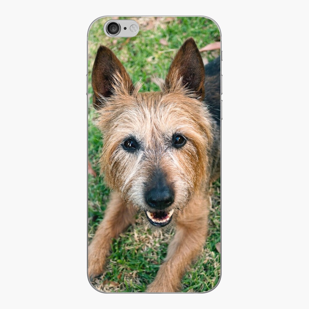 Item preview, iPhone Skin designed and sold by Tiffany.