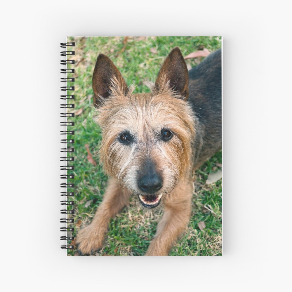 Item preview, Spiral Notebook designed and sold by Tiffany.