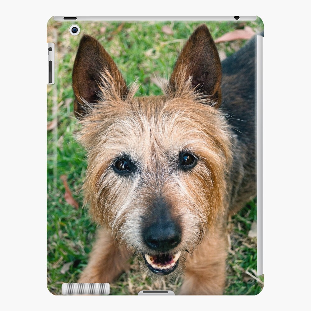 Item preview, iPad Snap Case designed and sold by Tiffany.