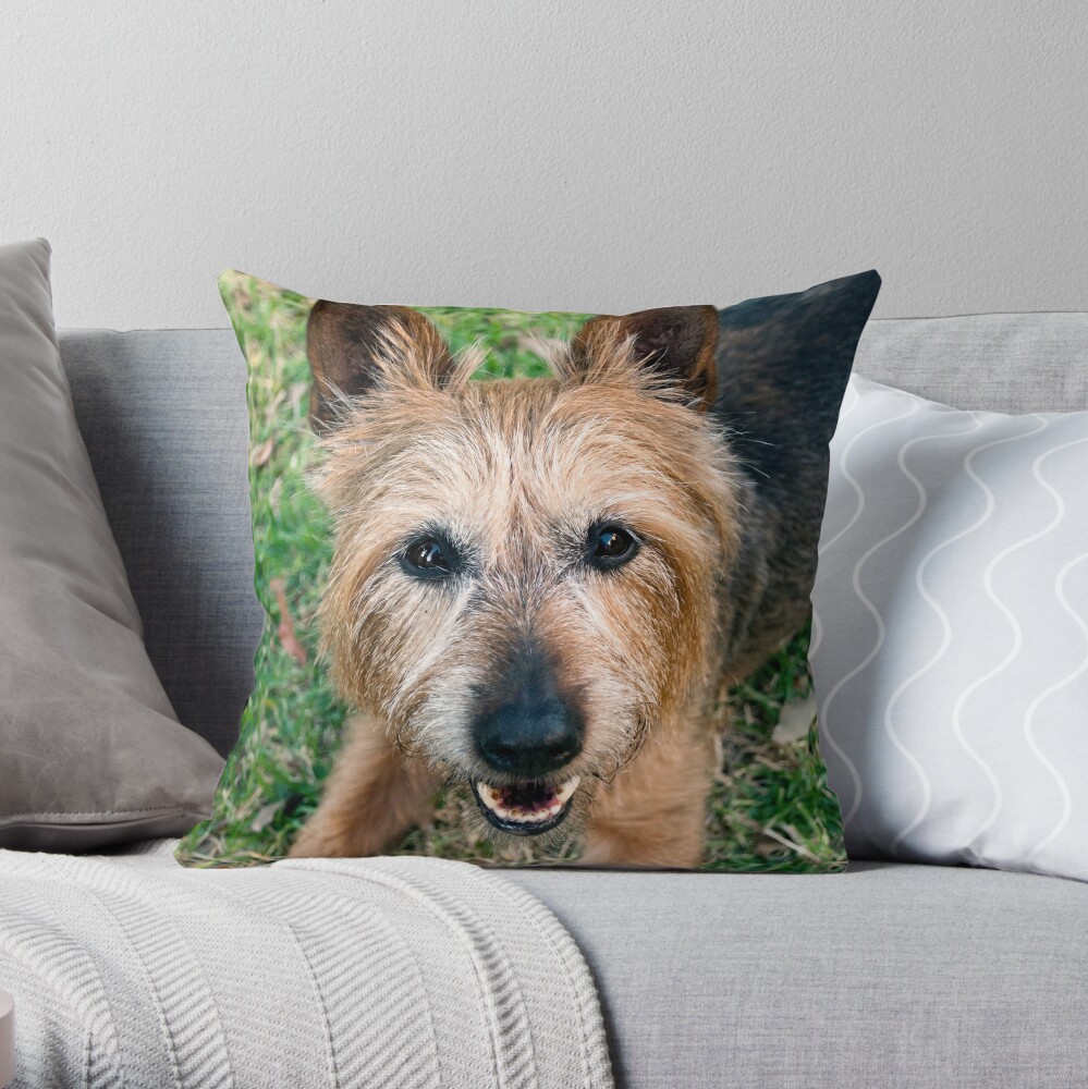 Item preview, Throw Pillow designed and sold by Tiffany.