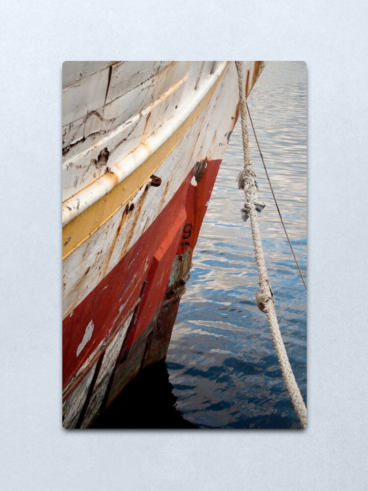 Alternate view of Alma's Bow Metal Print