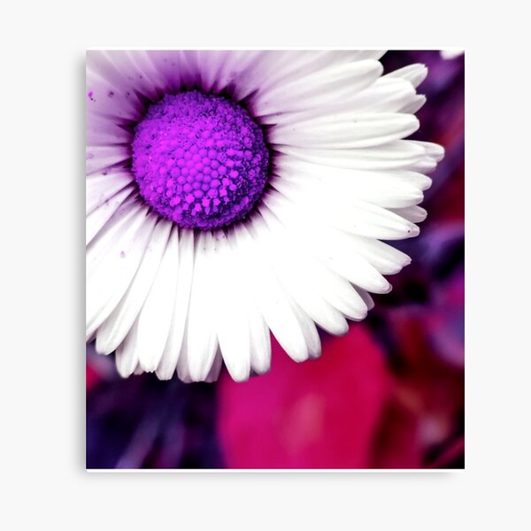 Item preview, purple flower design art , purple flowers clothing and accessories for guys and girls, perfect gift ideas for nature lover  designed and sold by cizito.