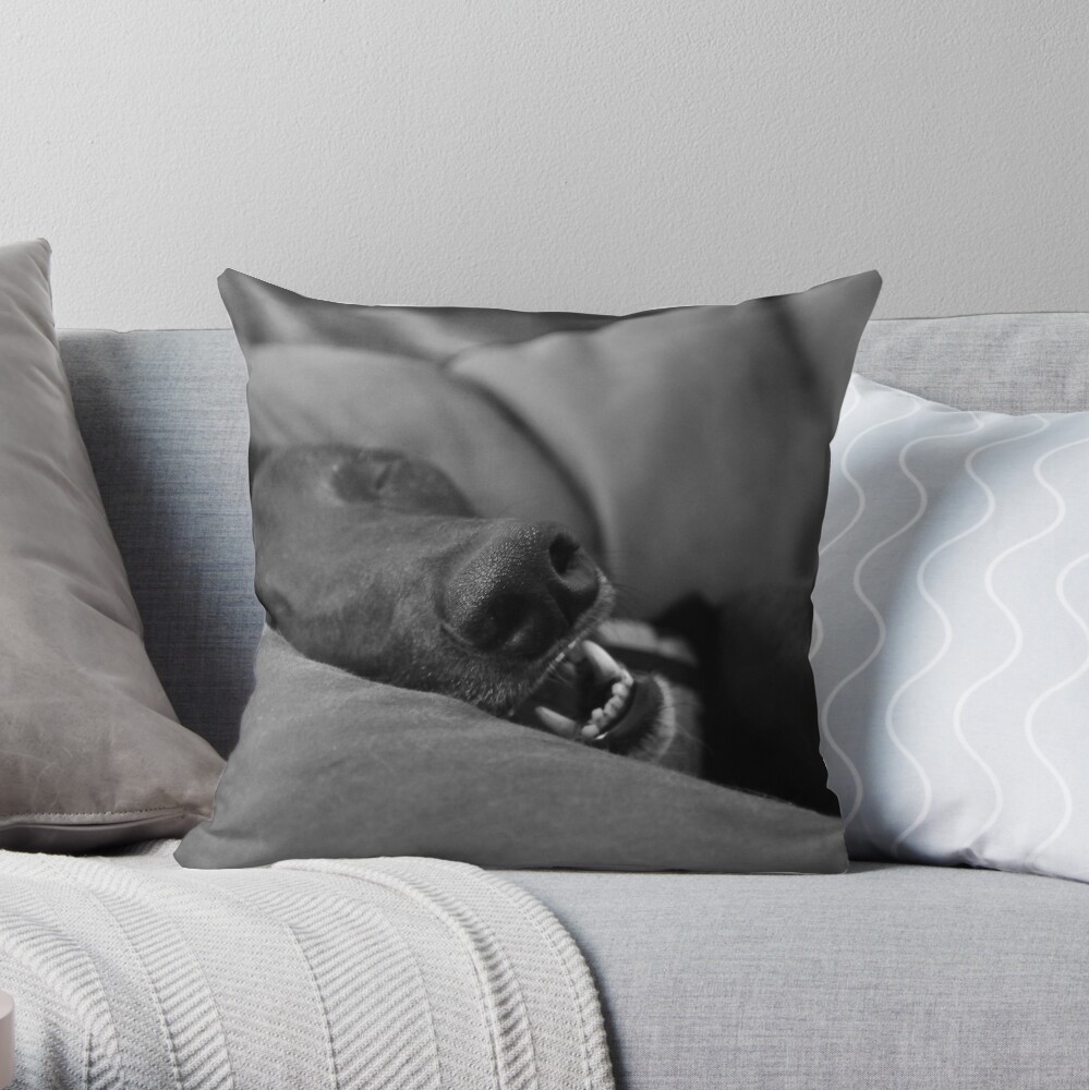 Blissful Sleep Throw Pillow