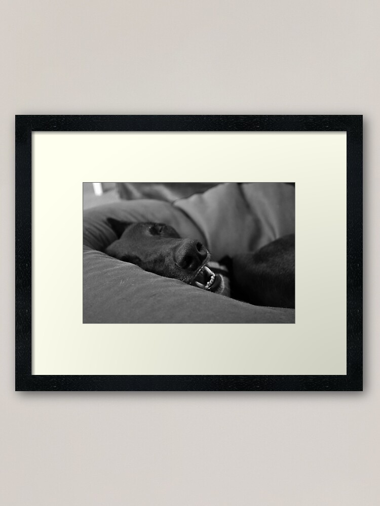 Alternate view of Blissful Sleep Framed Art Print