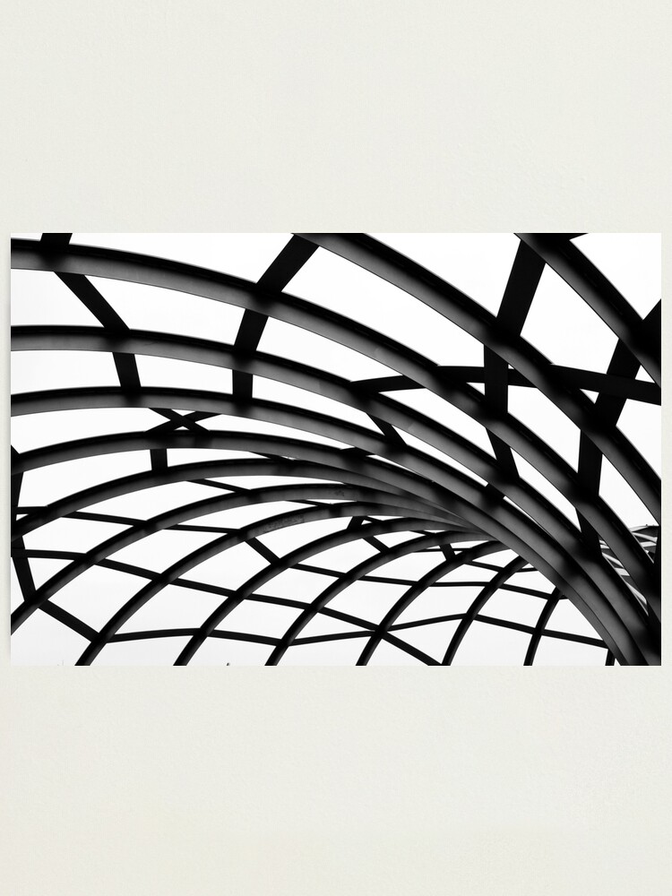 Alternate view of Twists & Turns Photographic Print