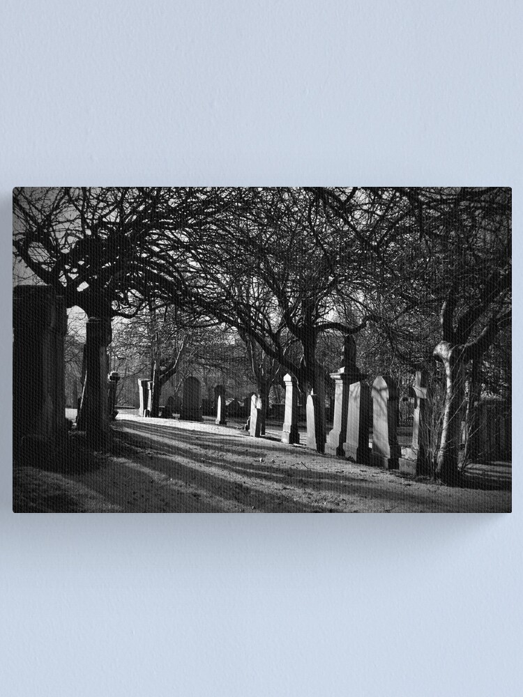 Alternate view of Early Morning Shadows Canvas Print