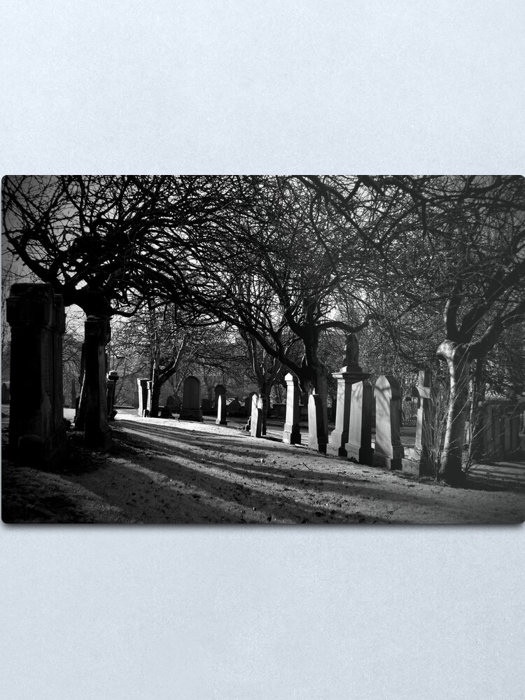 Alternate view of Early Morning Shadows Metal Print