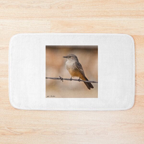 Item preview, Say's Phoebe on a Barbed Wire designed and sold by Jeff Goulden Photography.