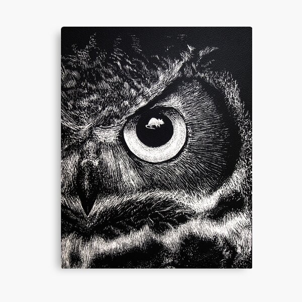 Owl Eye Canvas Print