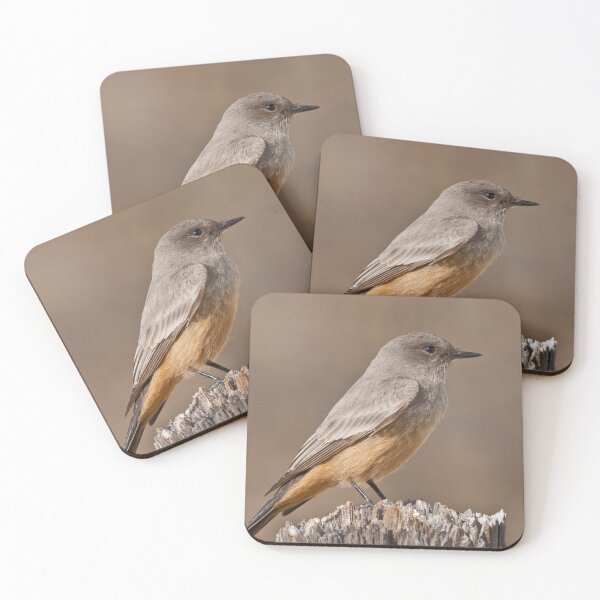 Item preview, Say's Phoebe on a Fence Post designed and sold by Jeff Goulden Photography.