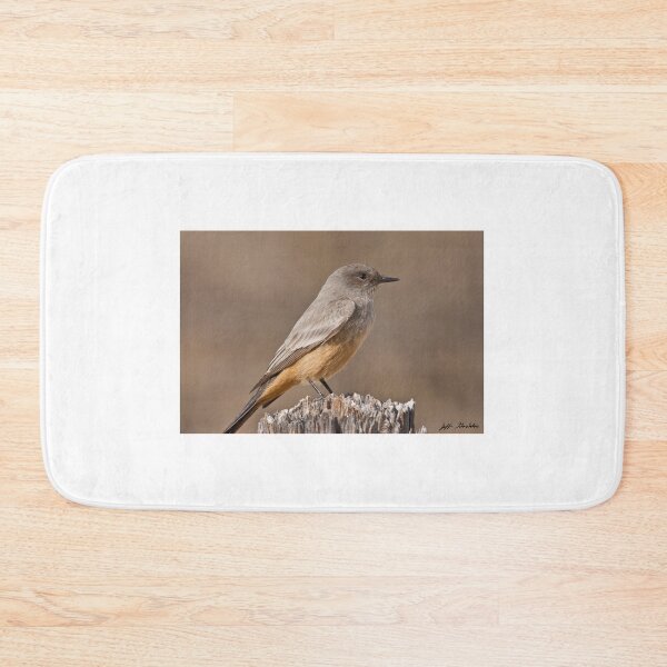 Item preview, Say's Phoebe on a Fence Post designed and sold by Jeff Goulden Photography.