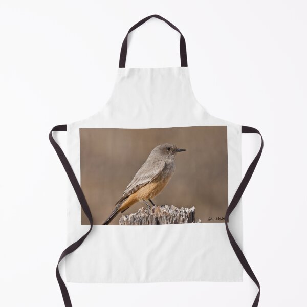 Item preview, Say's Phoebe on a Fence Post designed and sold by Jeff Goulden Photography.
