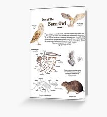 Diet of the Barn Owl Greeting Card