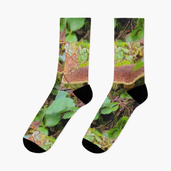 Item preview, Seta en el bosque designed and sold by Totallyalive.