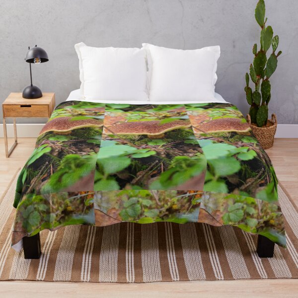 Item preview, Seta en el bosque designed and sold by Totallyalive.