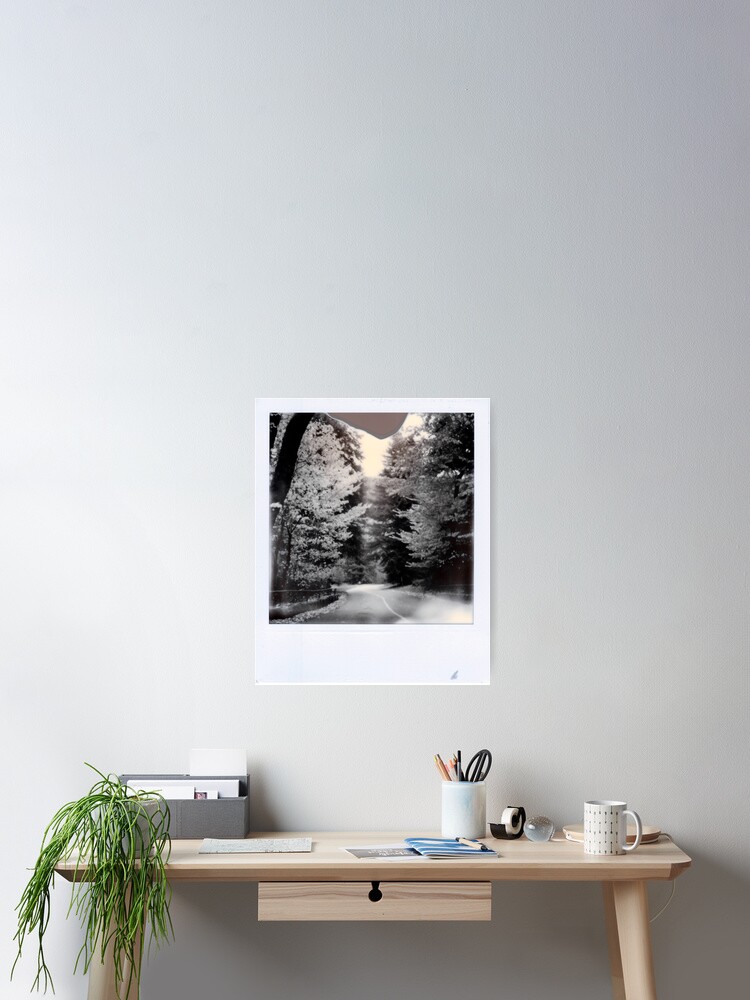 Thumbnail 2 of 3, Poster, Luminous Trees designed and sold by Abbynormative.