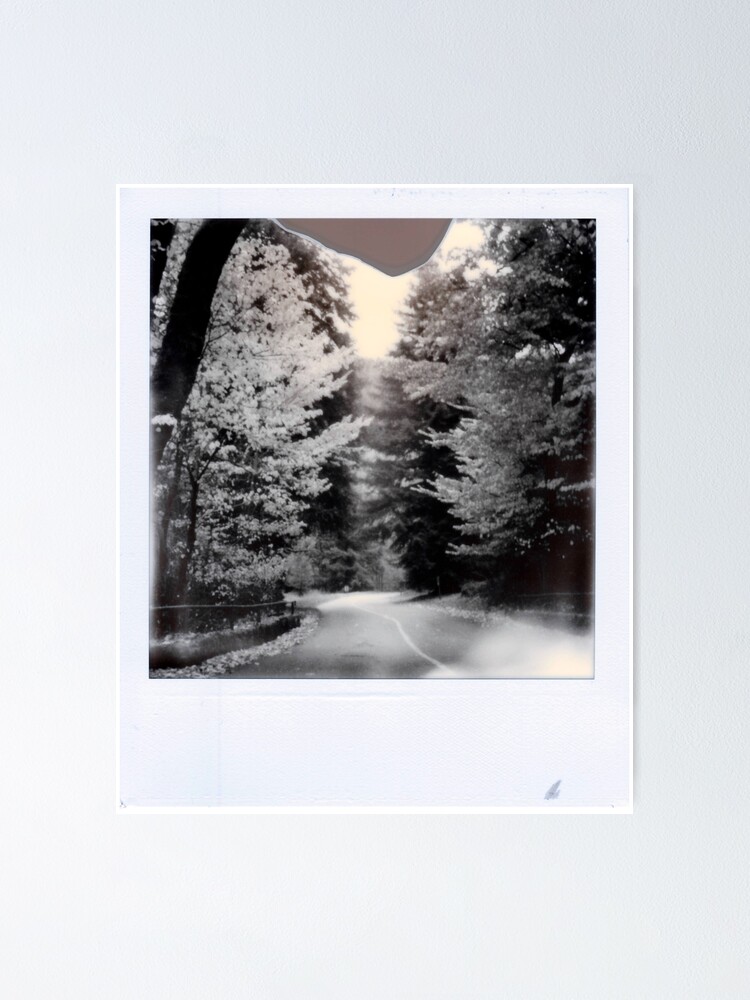 Thumbnail 1 of 3, Poster, Luminous Trees designed and sold by Abbynormative.