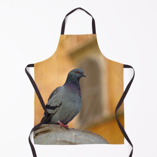 Item preview, Posing Pigeon designed and sold by Tiffany Dryburgh.