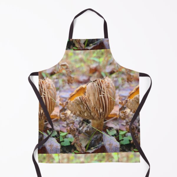 Artikelvorschau, Pilz im Wald entworfen und verkauft von Totallyalive.