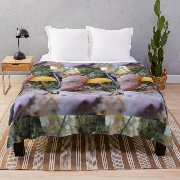 Item preview, Seta en el bosque designed and sold by Totallyalive.