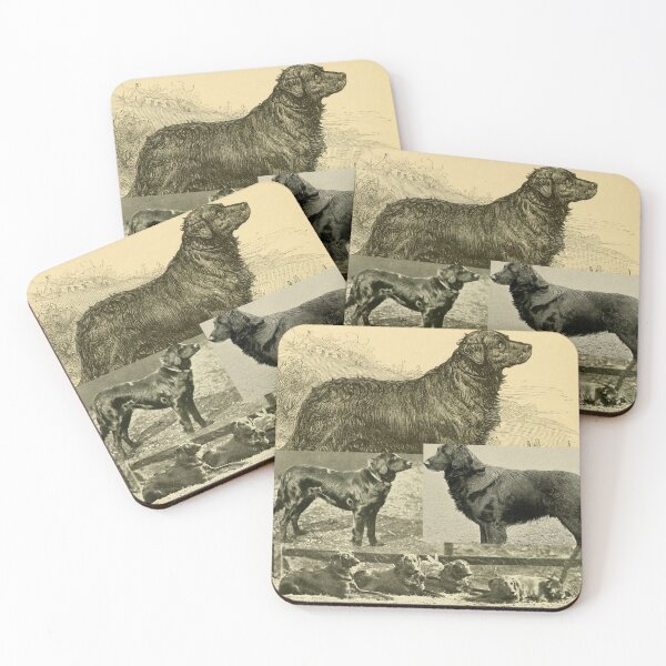 Item preview, Flat-Coated Retriever Montage designed and sold by Krispsm.