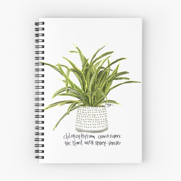 Item preview, Spider Plant in Pot designed and sold by SinceJanuary.