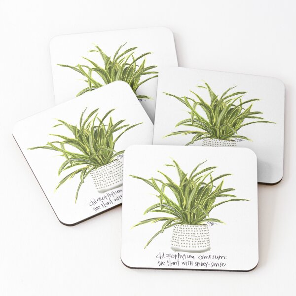Item preview, Spider Plant in Pot designed and sold by SinceJanuary.