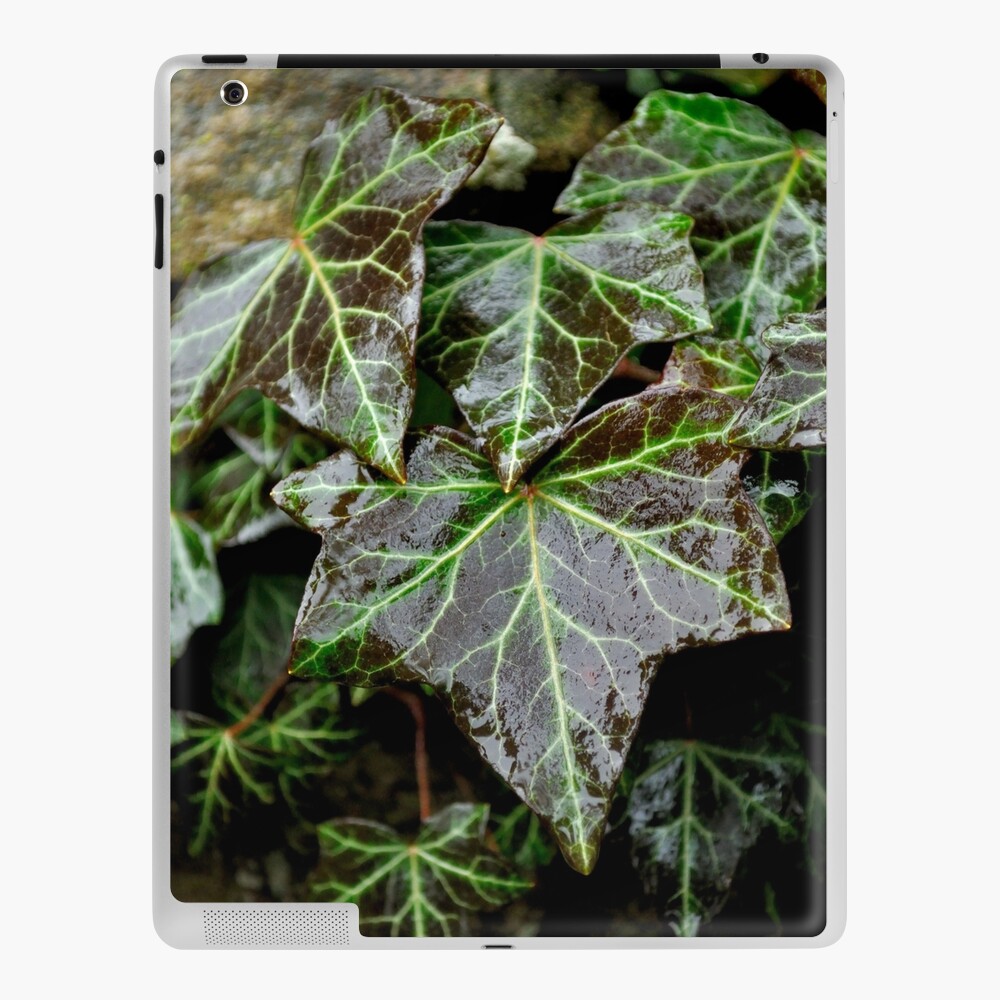 Item preview, iPad Skin designed and sold by Tiffany.