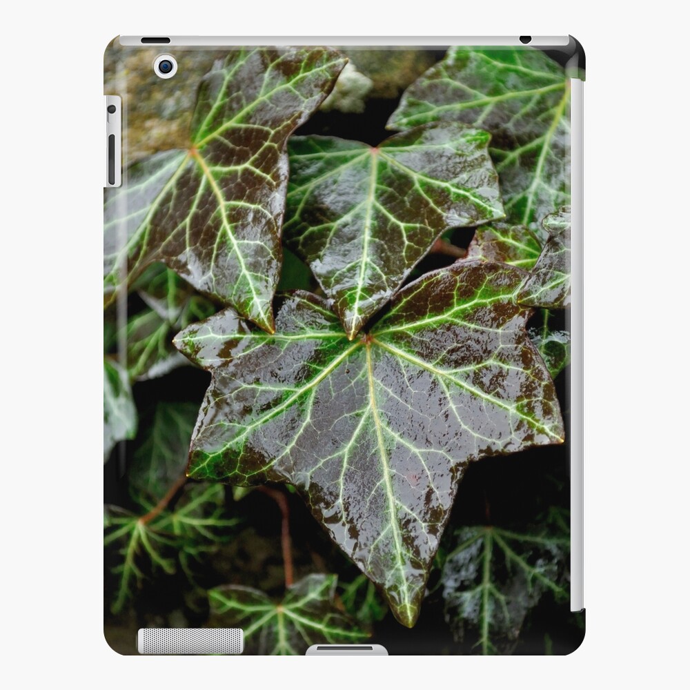 Item preview, iPad Snap Case designed and sold by Tiffany.