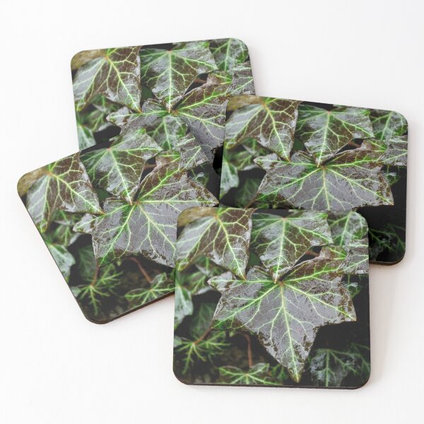 Aperçu de l'œuvre Glistening Ivy créée et vendue par Tiffany Dryburgh.