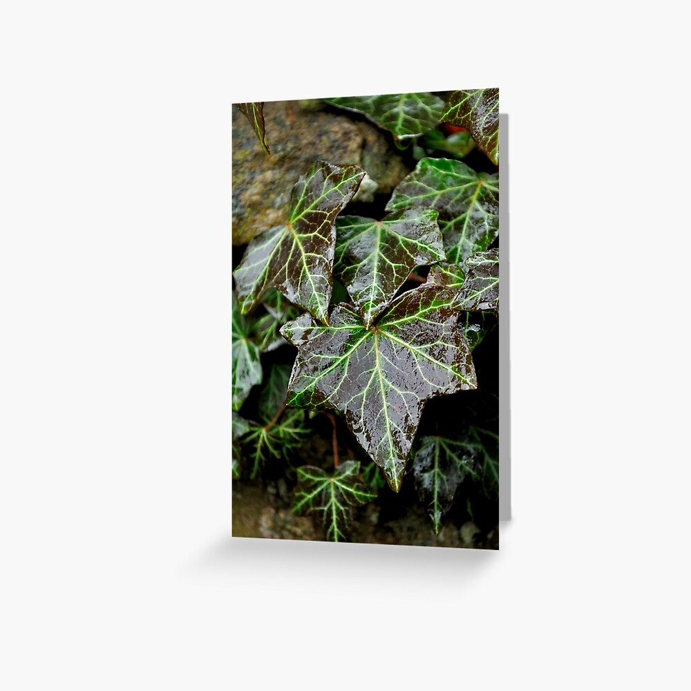 Item preview, Greeting Card designed and sold by Tiffany.