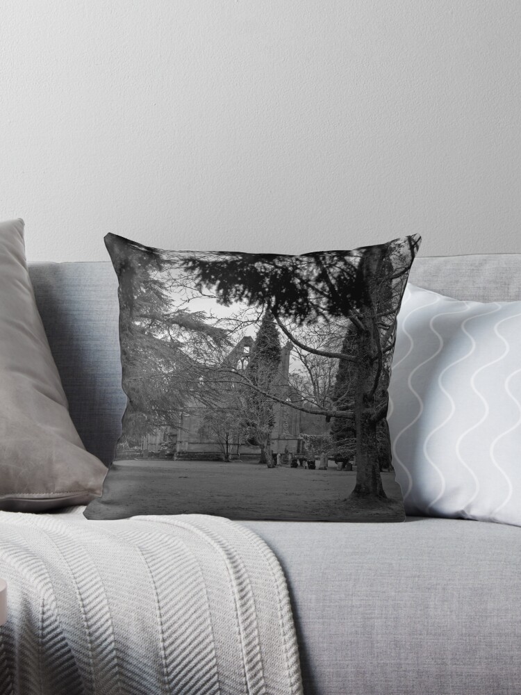 Thumbnail 1 of 3, Throw Pillow, A Moody Dryburgh designed and sold by Tiffany Dryburgh.