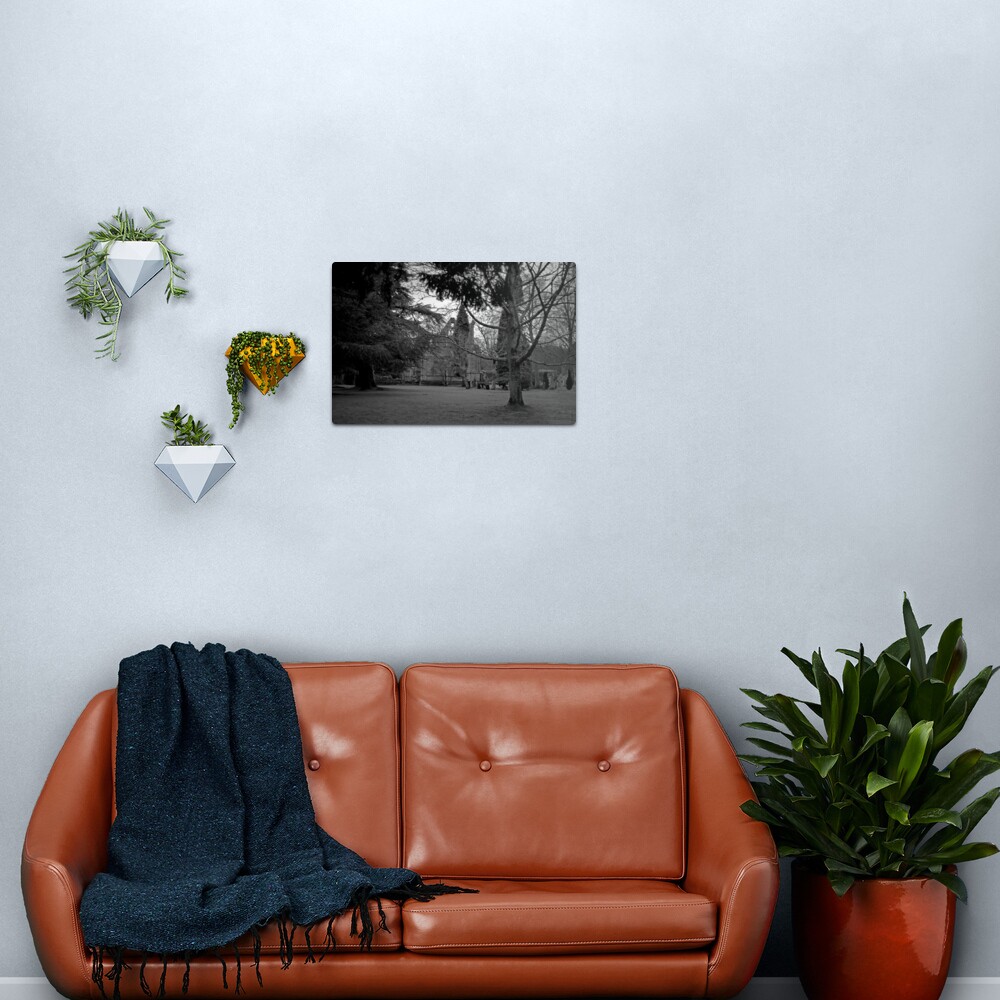 A Moody Dryburgh Metal Print