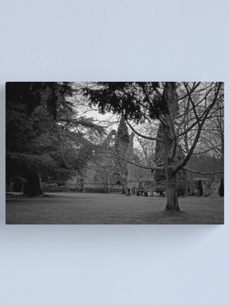 Thumbnail 2 of 3, Canvas Print, A Moody Dryburgh designed and sold by Tiffany Dryburgh.