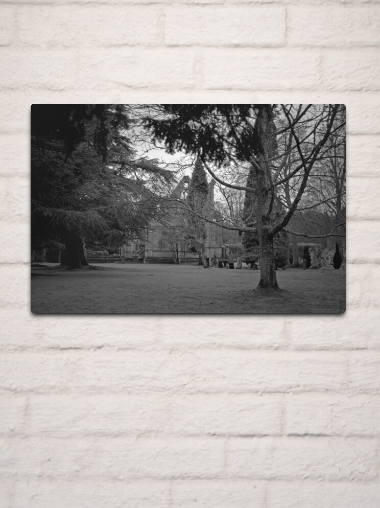 Thumbnail 2 of 4, Metal Print, A Moody Dryburgh designed and sold by Tiffany Dryburgh.