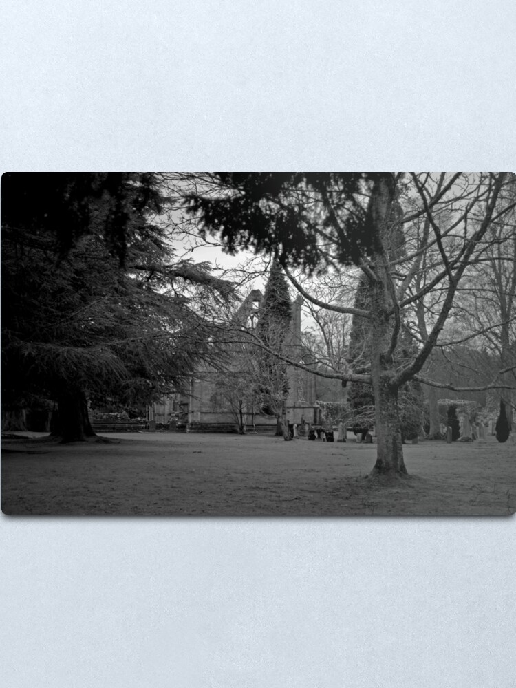 Alternate view of A Moody Dryburgh Metal Print
