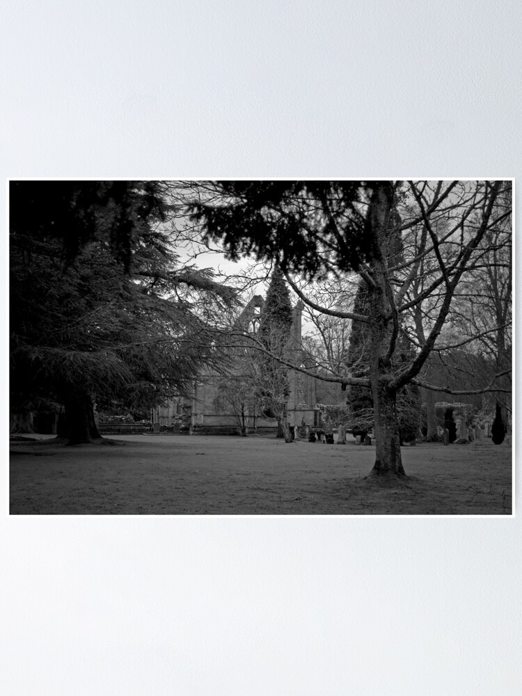 Thumbnail 2 of 3, Poster, A Moody Dryburgh designed and sold by Tiffany Dryburgh.