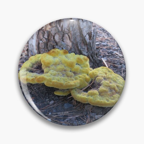 Item preview, Big yellow fungus designed and sold by greentiger1.