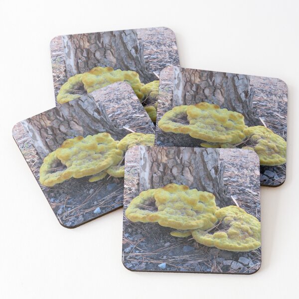 Item preview, Big yellow fungus designed and sold by greentiger1.