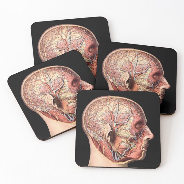 Item preview, Vintage anatomy illustration of the human head designed and sold by monsterplanet.