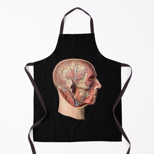 Item preview, Vintage anatomy illustration of the human head designed and sold by monsterplanet.