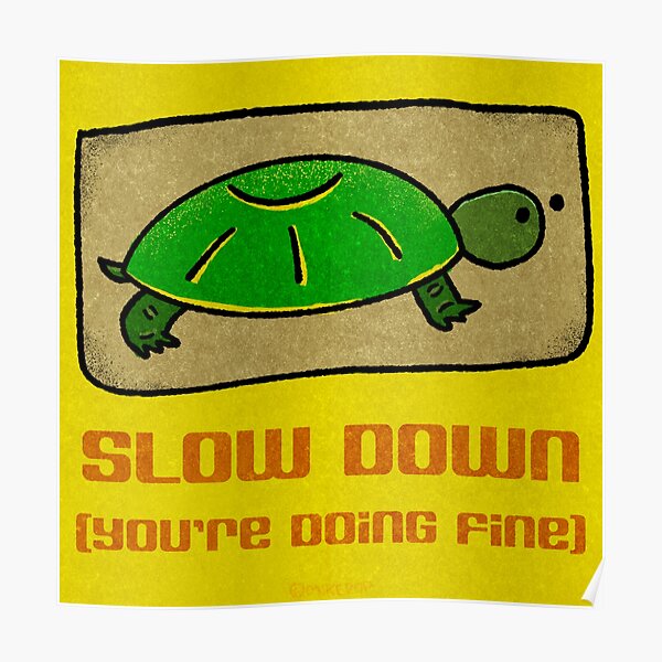 Slow Down; You're Doing Fine Poster