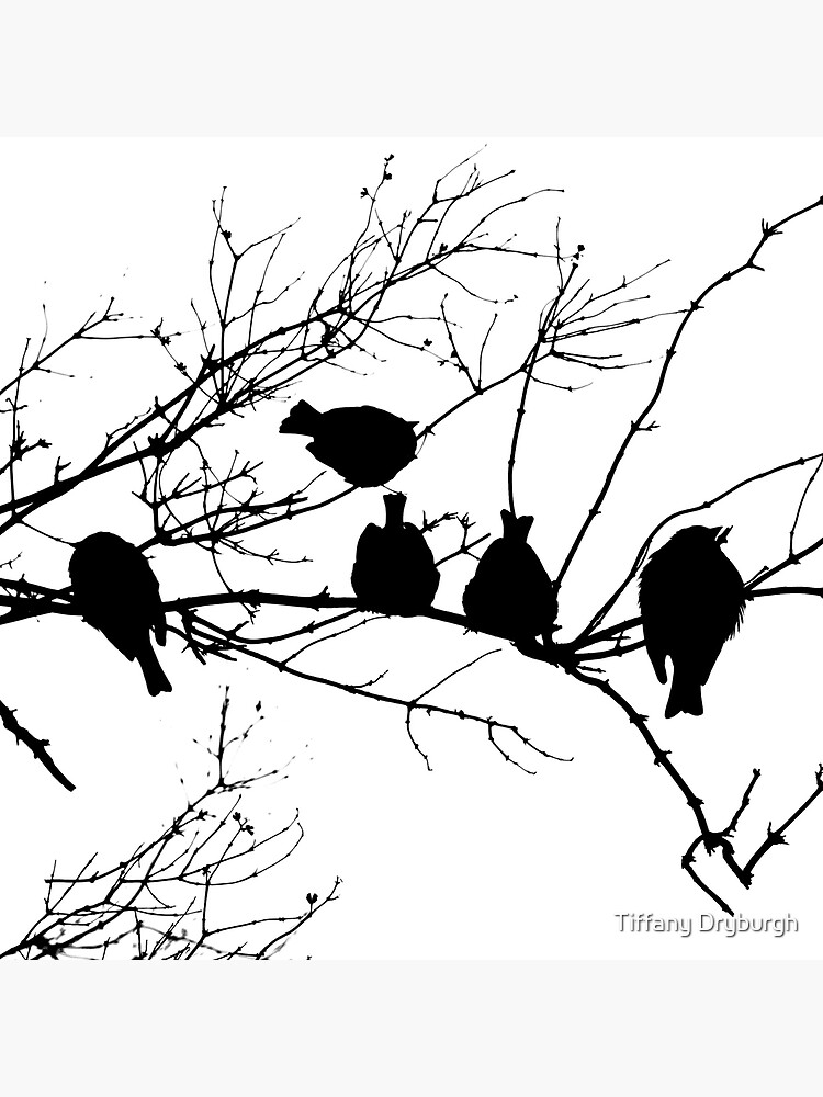 Sparrow Line Up by Tiffany