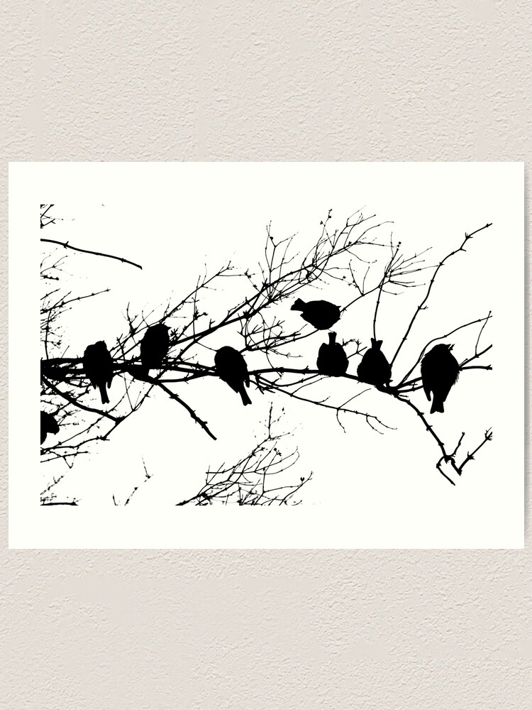 Thumbnail 2 of 3, Art Print, Sparrow Line Up designed and sold by Tiffany Dryburgh.
