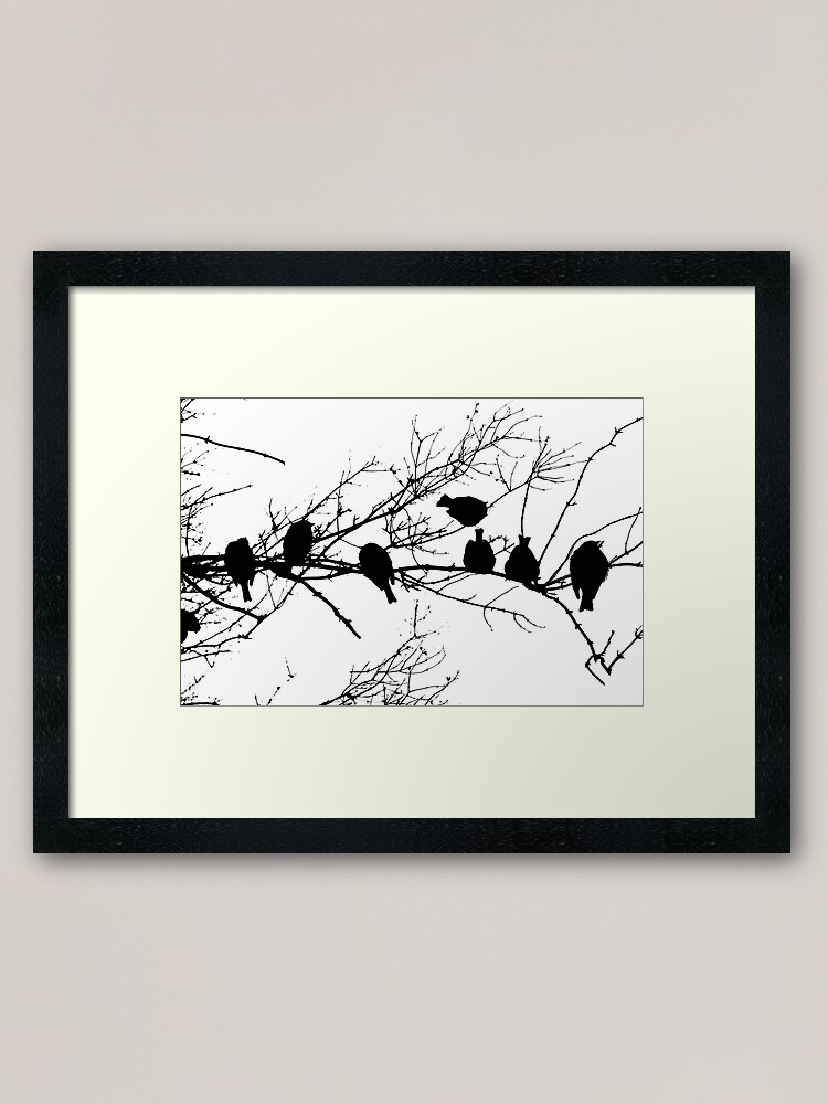 Thumbnail 2 of 7, Framed Art Print, Sparrow Line Up designed and sold by Tiffany Dryburgh.