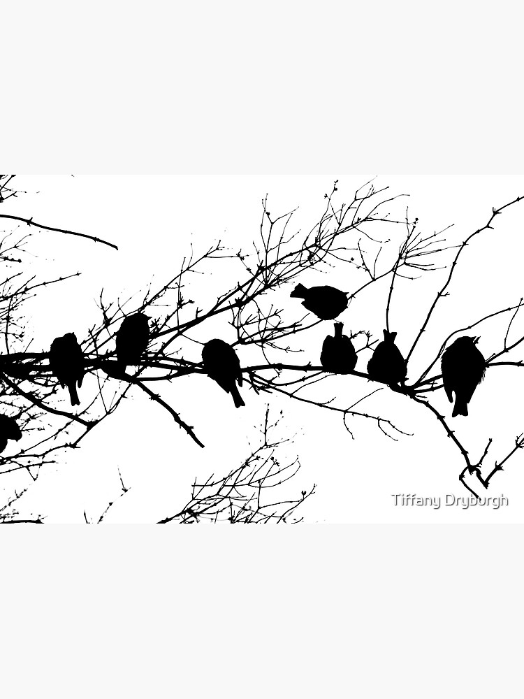 Thumbnail 3 of 3, Art Print, Sparrow Line Up designed and sold by Tiffany Dryburgh.