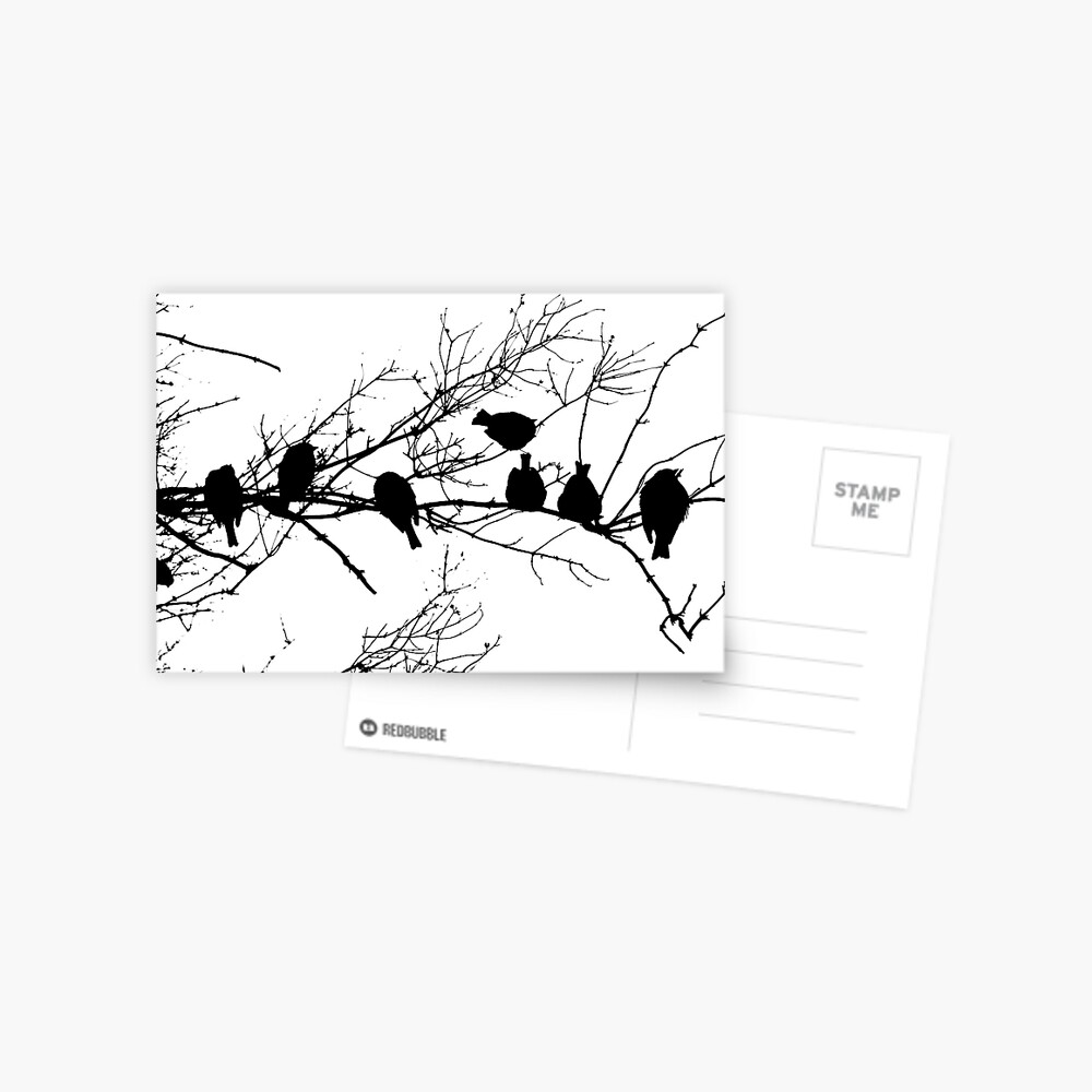 Item preview, Postcard designed and sold by Tiffany.