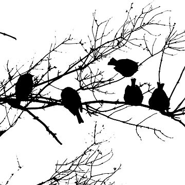 Artwork thumbnail, Sparrow Line Up by Tiffany Dryburgh