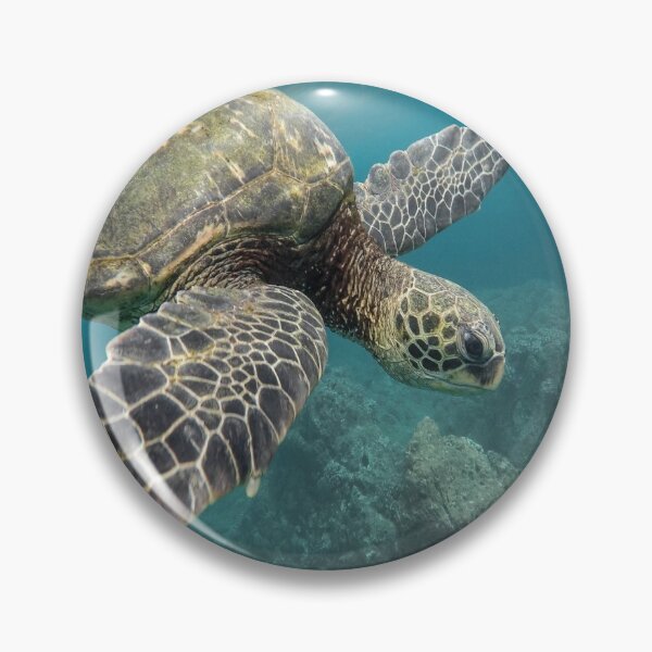 Item preview, Nature's Sea Turtle Underwater in blue green water - in Ocean -  Marine Life designed and sold by guitarkel.