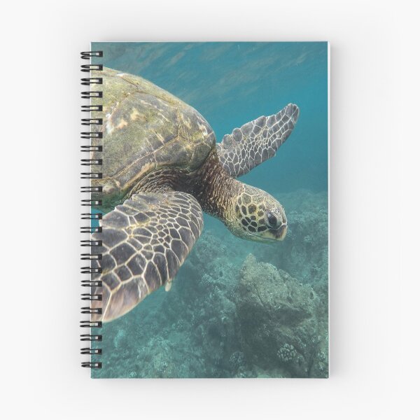 Item preview, Nature's Sea Turtle Underwater in blue green water - in Ocean -  Marine Life designed and sold by guitarkel.